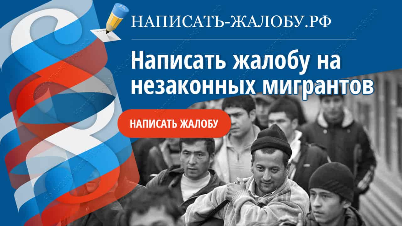 Написать жалобу на незаконных мигрантов